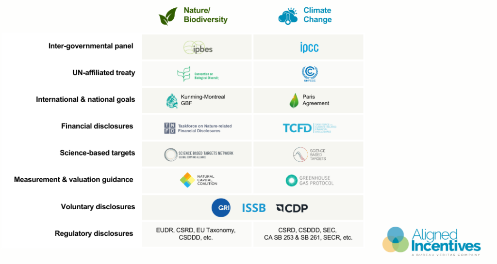 Global frameworks and standards for nature/biodiversity and climate change.