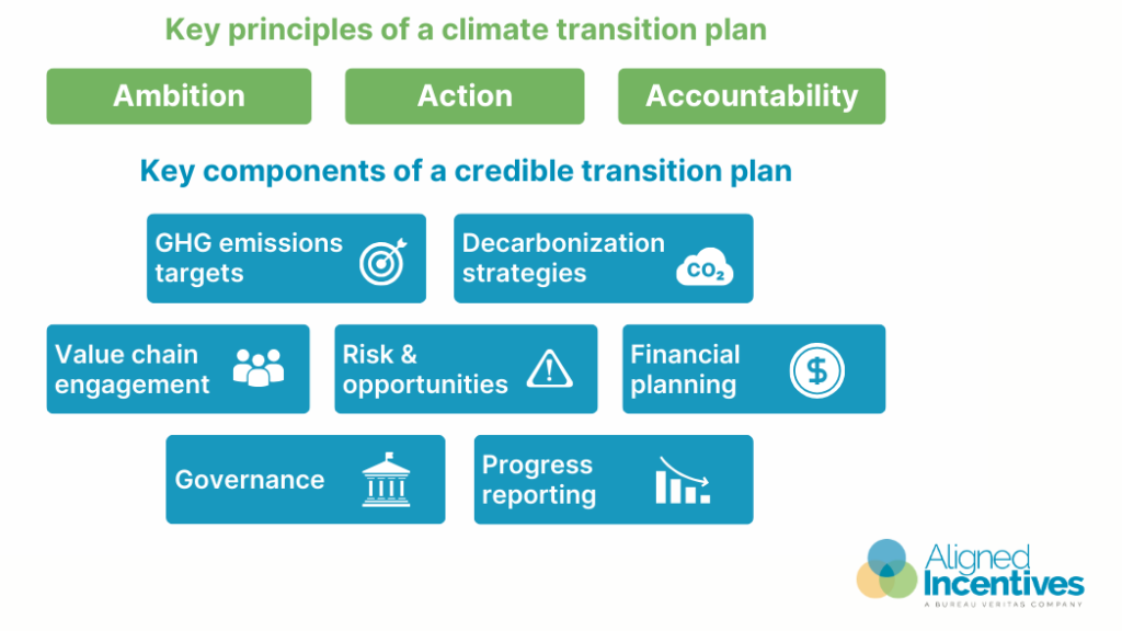 Key principles and components of a climate transition plan
